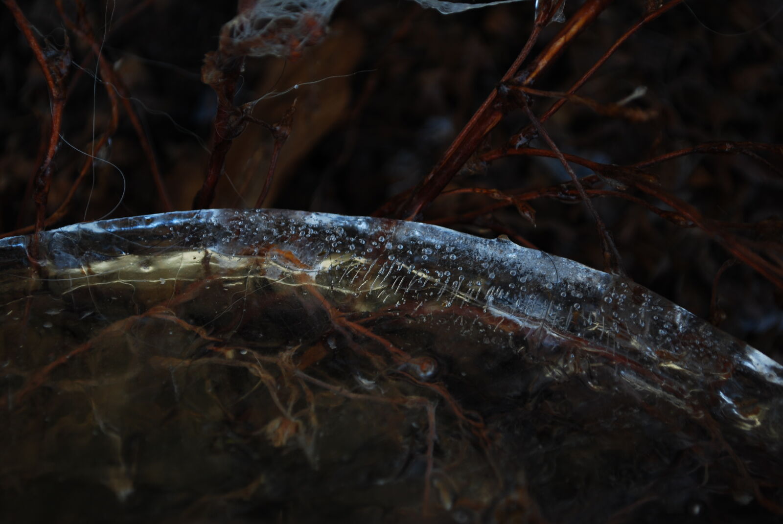 Nikon D60 sample photo. Dark, frozen, ice, rim photography