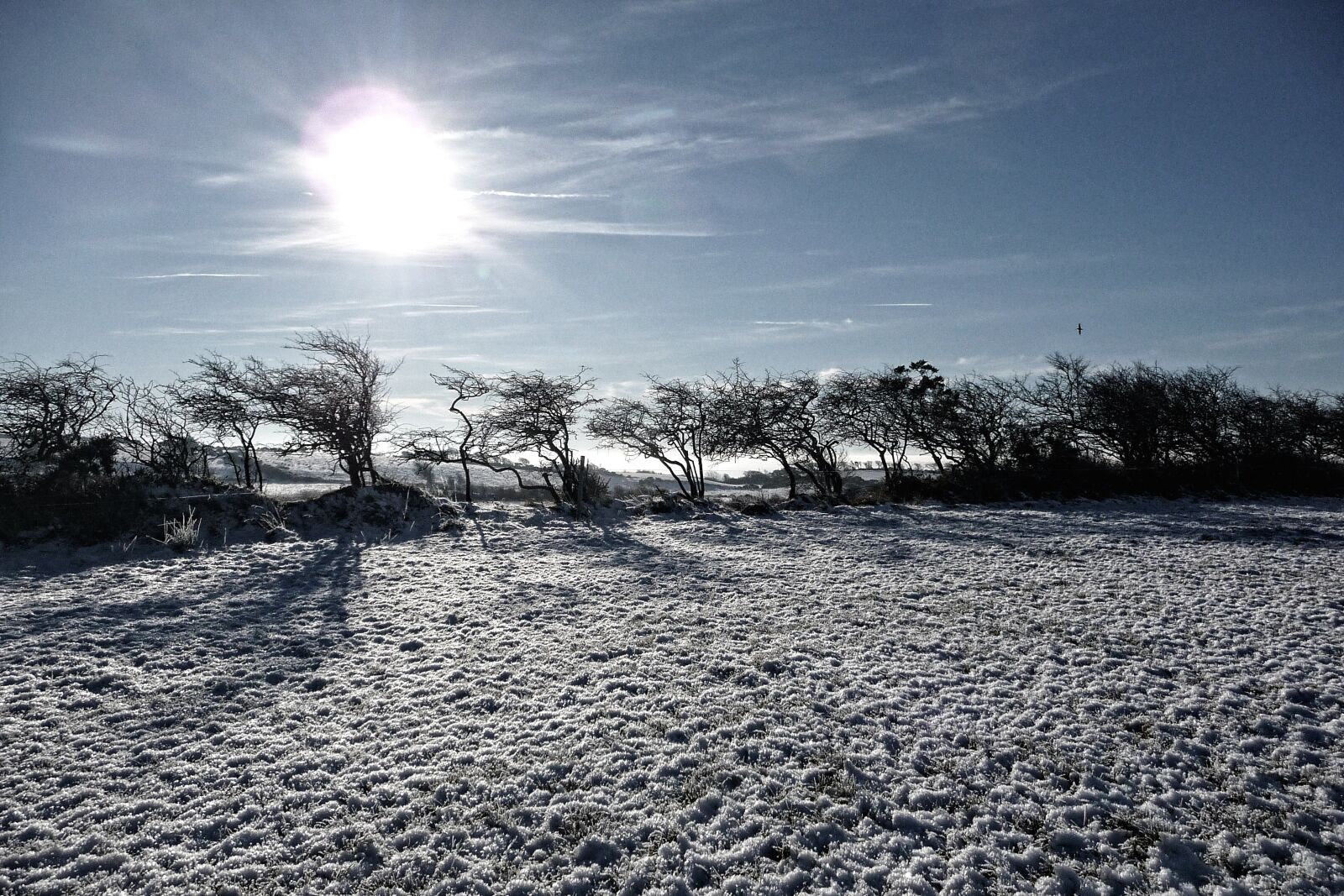 Panasonic Lumix DMC-TZ5 sample photo. Snow, frost, christmas photography
