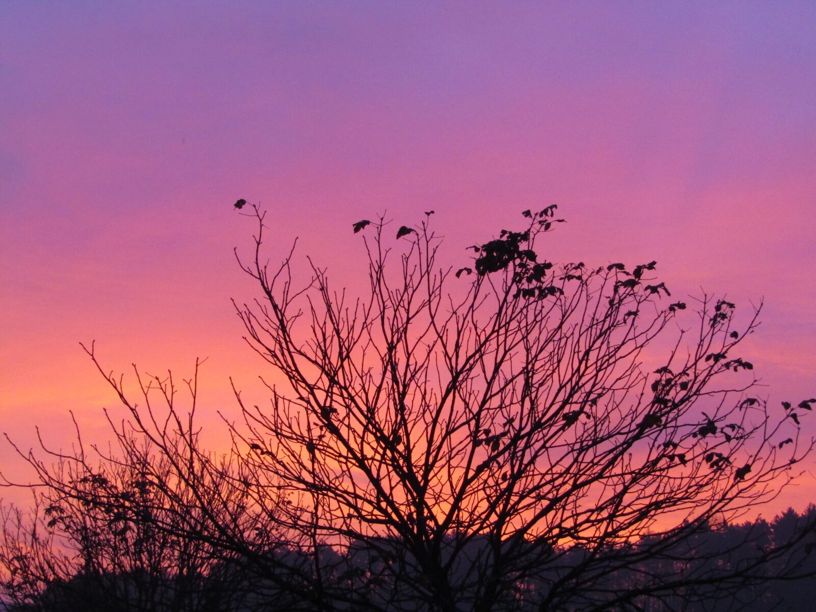 Canon POWERSHOT SX432 IS sample photo. Morgenrot, morning light, purple photography