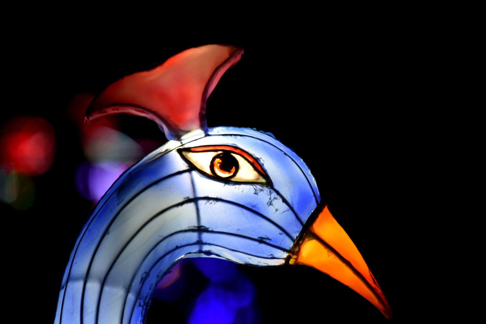 Nikon D5500 sample photo. Art, bird, illumination, night photography