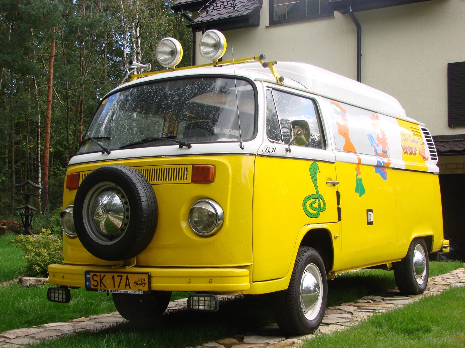 Sony DSC-H5 sample photo. Yellow, vw, cucumber photography