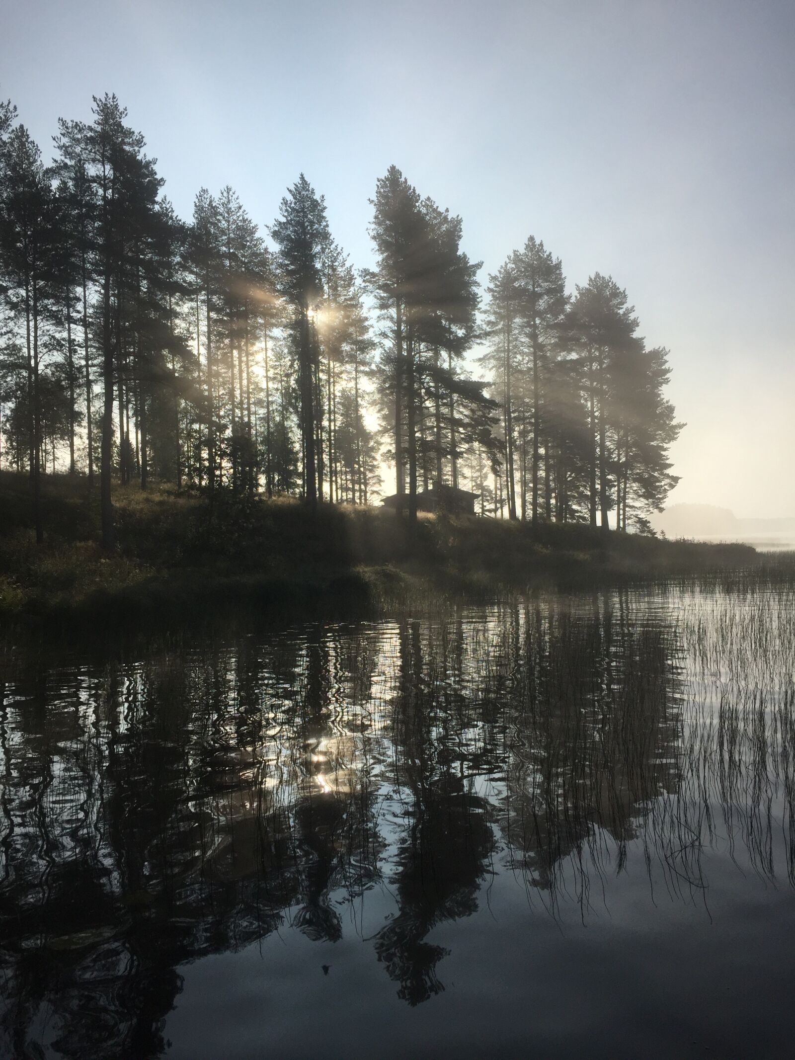 Apple iPhone 6 sample photo. Morning, fog, mist photography