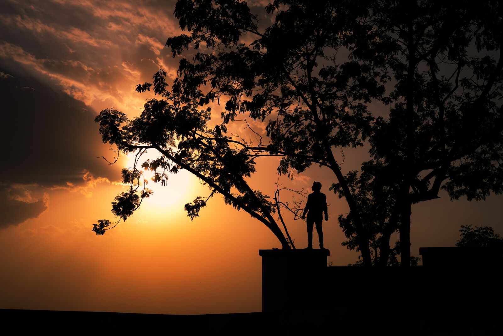 Canon EOS 200D (EOS Rebel SL2 / EOS Kiss X9) sample photo. Sunset, tree, nature photography
