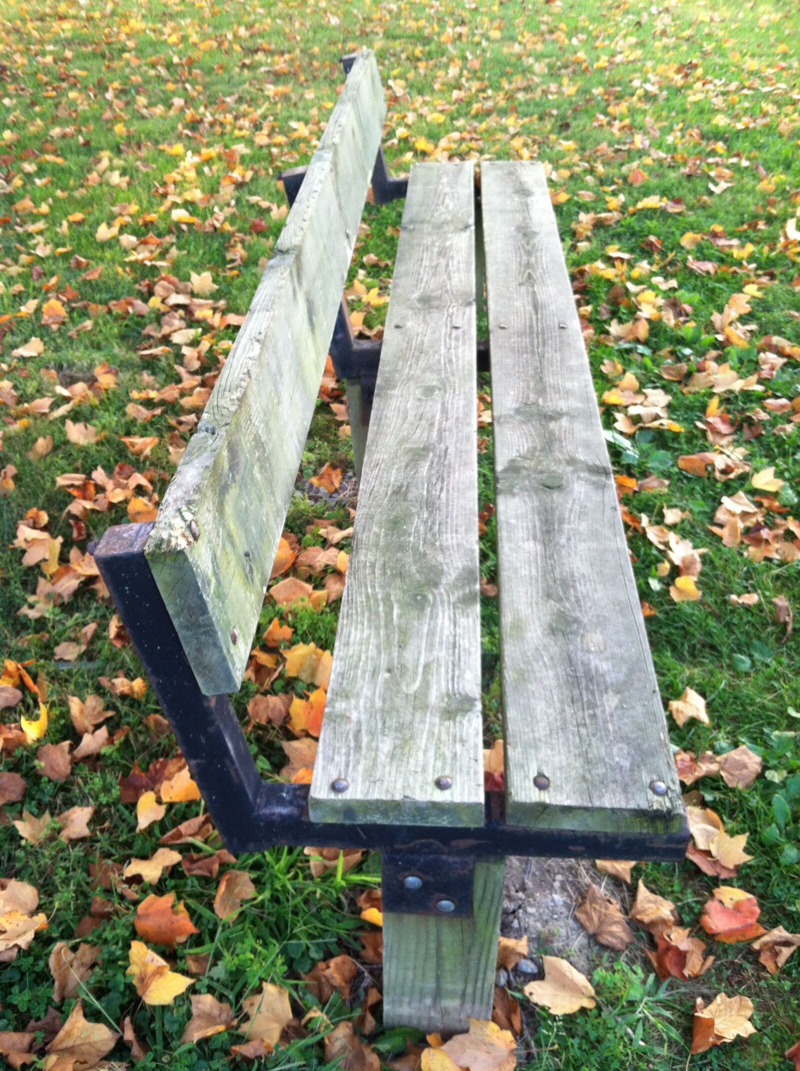 Apple iPhone 4 sample photo. Bench, leaves, nobody photography