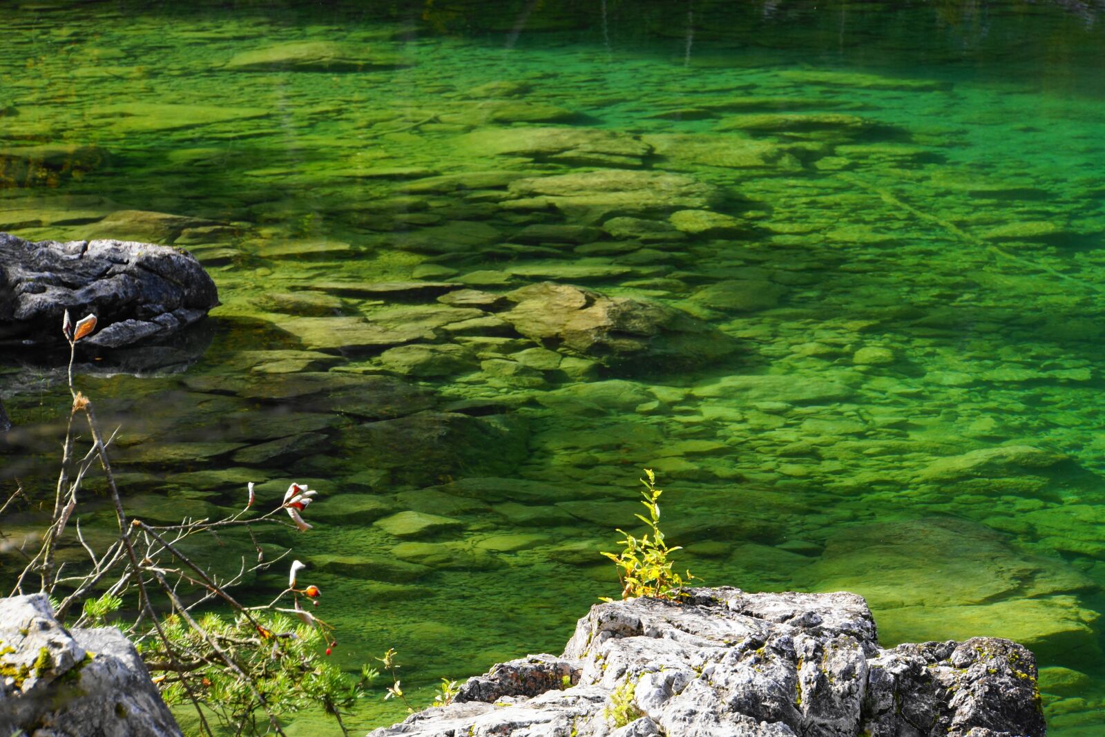 Sony Alpha NEX-7 sample photo. Lake, water, pond photography