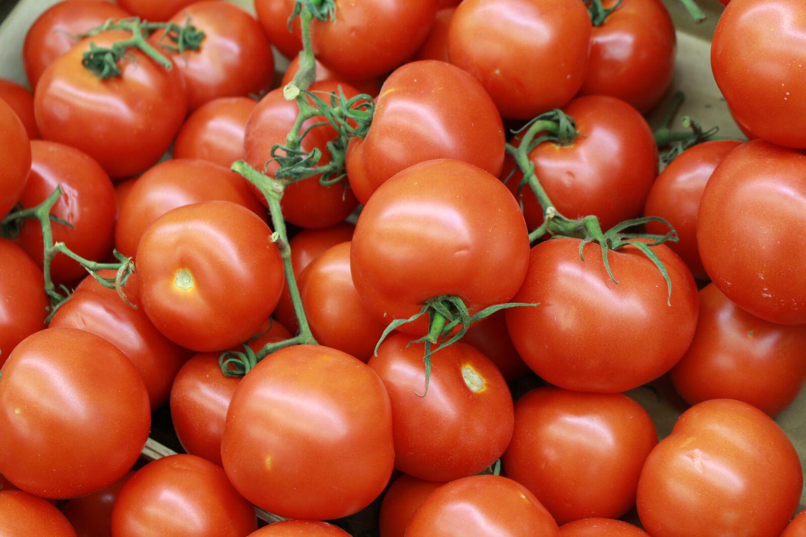 Canon EOS 700D (EOS Rebel T5i / EOS Kiss X7i) sample photo. Tomatoes, canary tomatoes, vegetable photography