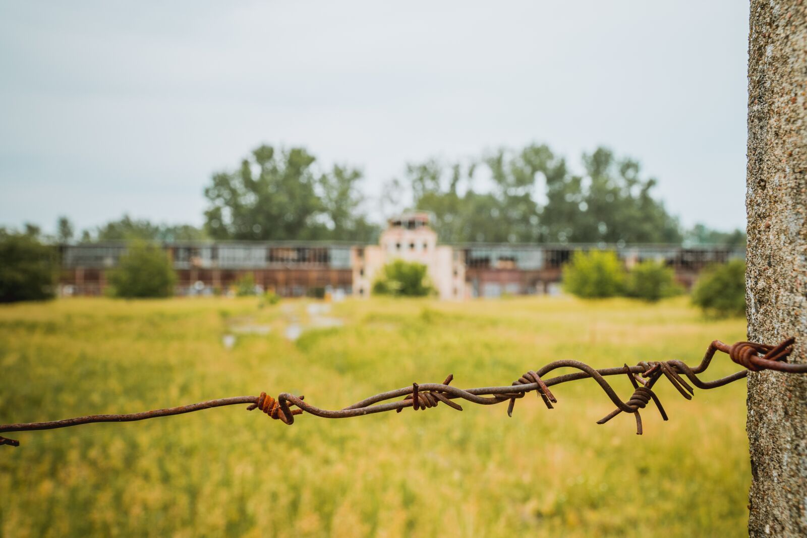 Sony a6500 + Sony E PZ 18-105mm F4 G OSS sample photo. Barbed wire, airfield rangsdorf photography