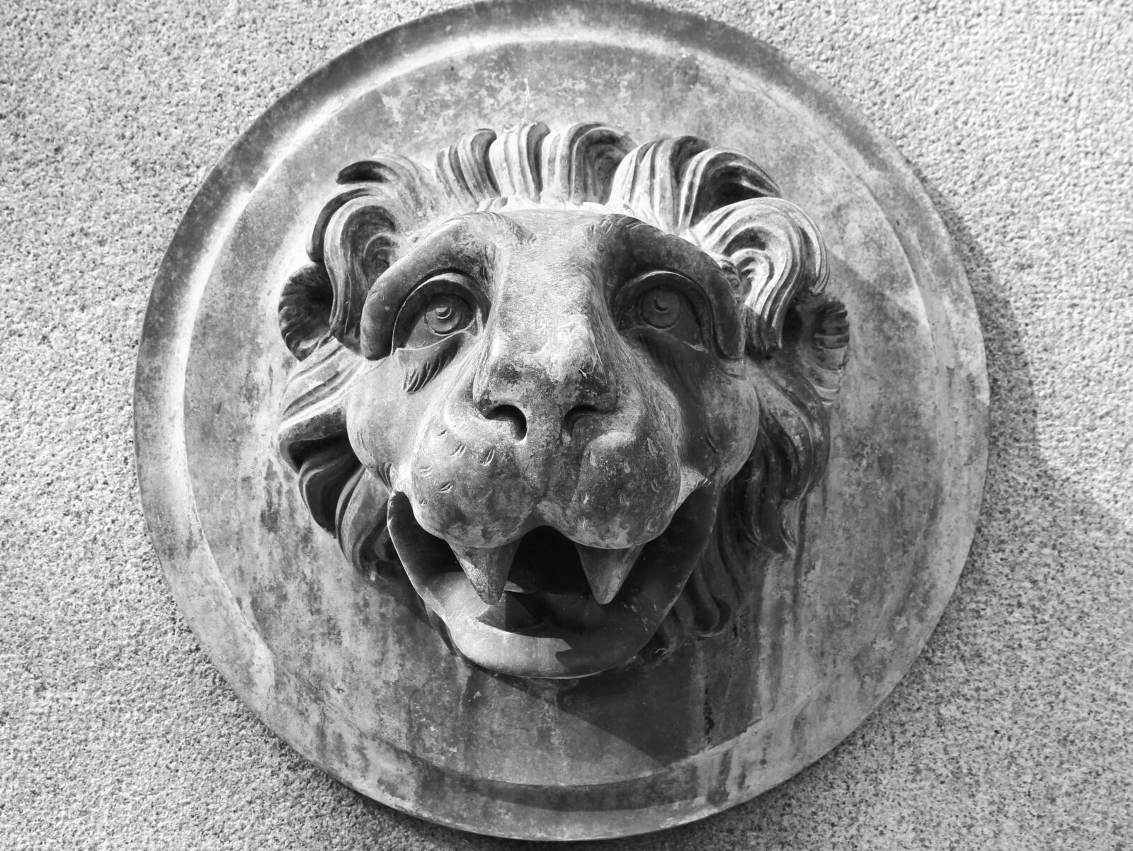Canon EOS 1300D (EOS Rebel T6 / EOS Kiss X80) sample photo. Lion head, bronze, monument photography