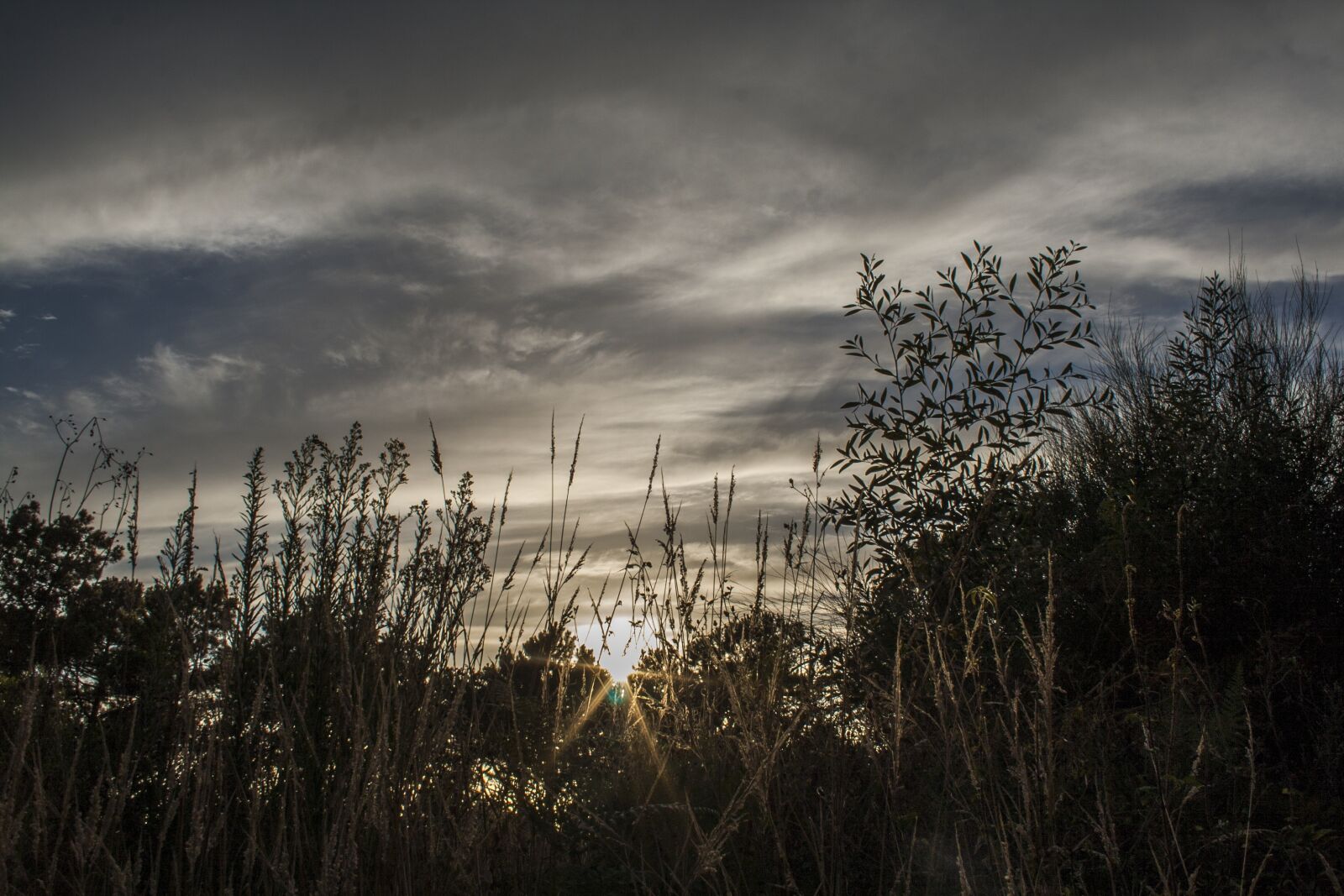 Canon EOS 350D (EOS Digital Rebel XT / EOS Kiss Digital N) sample photo. Sunset, nature, galicia photography