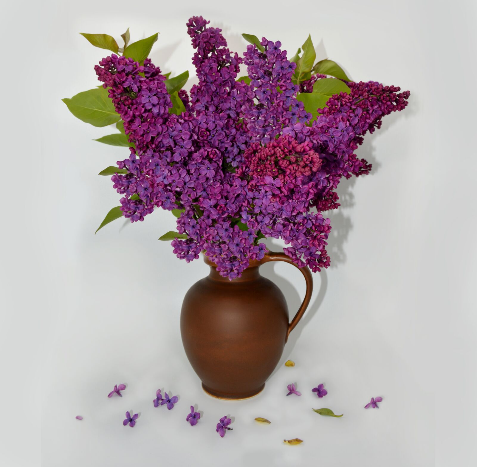 Nikon D3200 sample photo. Lilac, vase, still life photography
