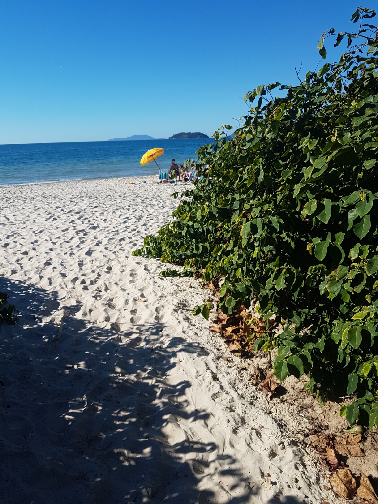 Samsung Galaxy S7 Edge sample photo. Path, beach, vegetation photography