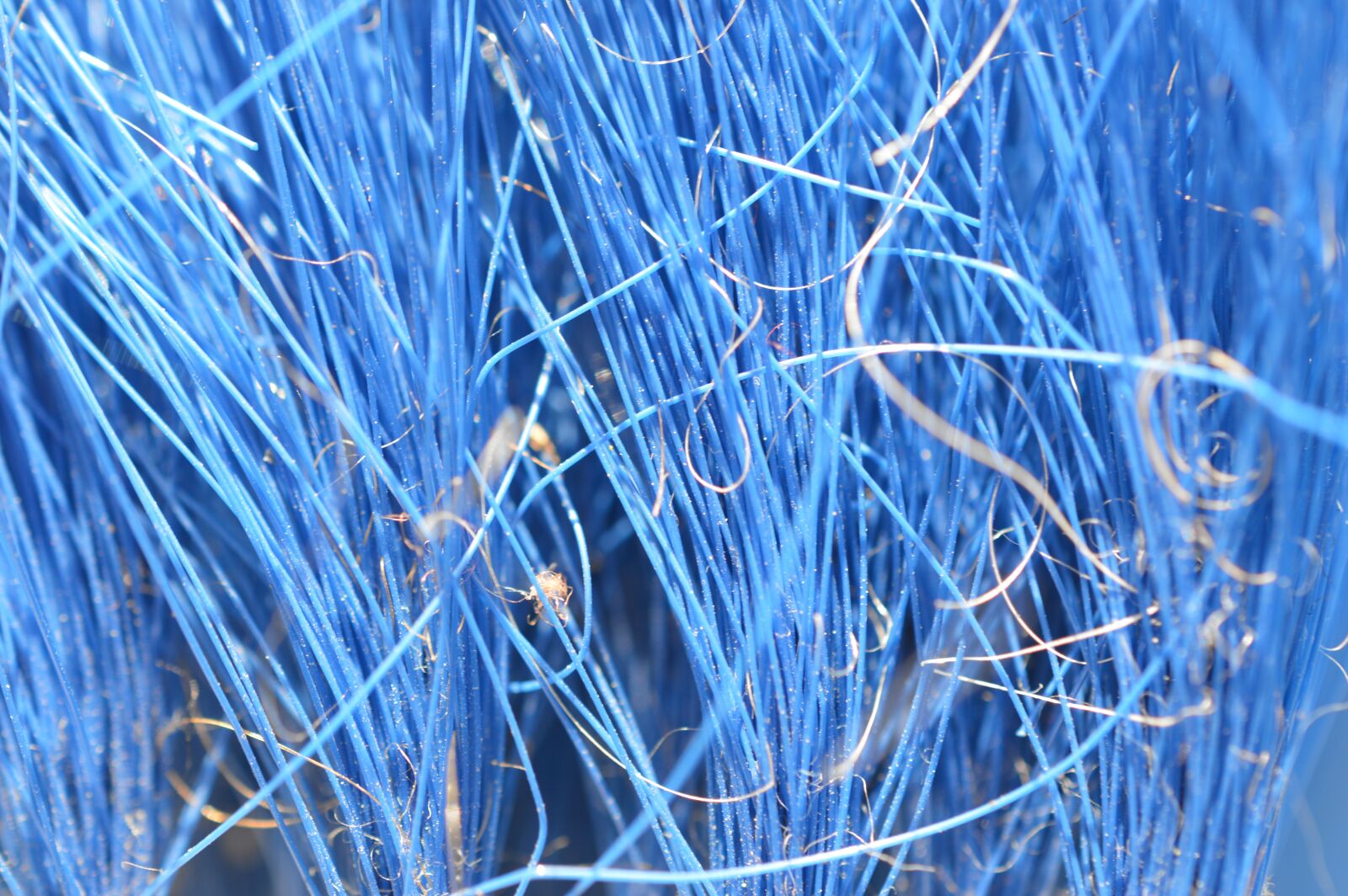 Nikon D3200 sample photo. Texture, macro, pattern photography