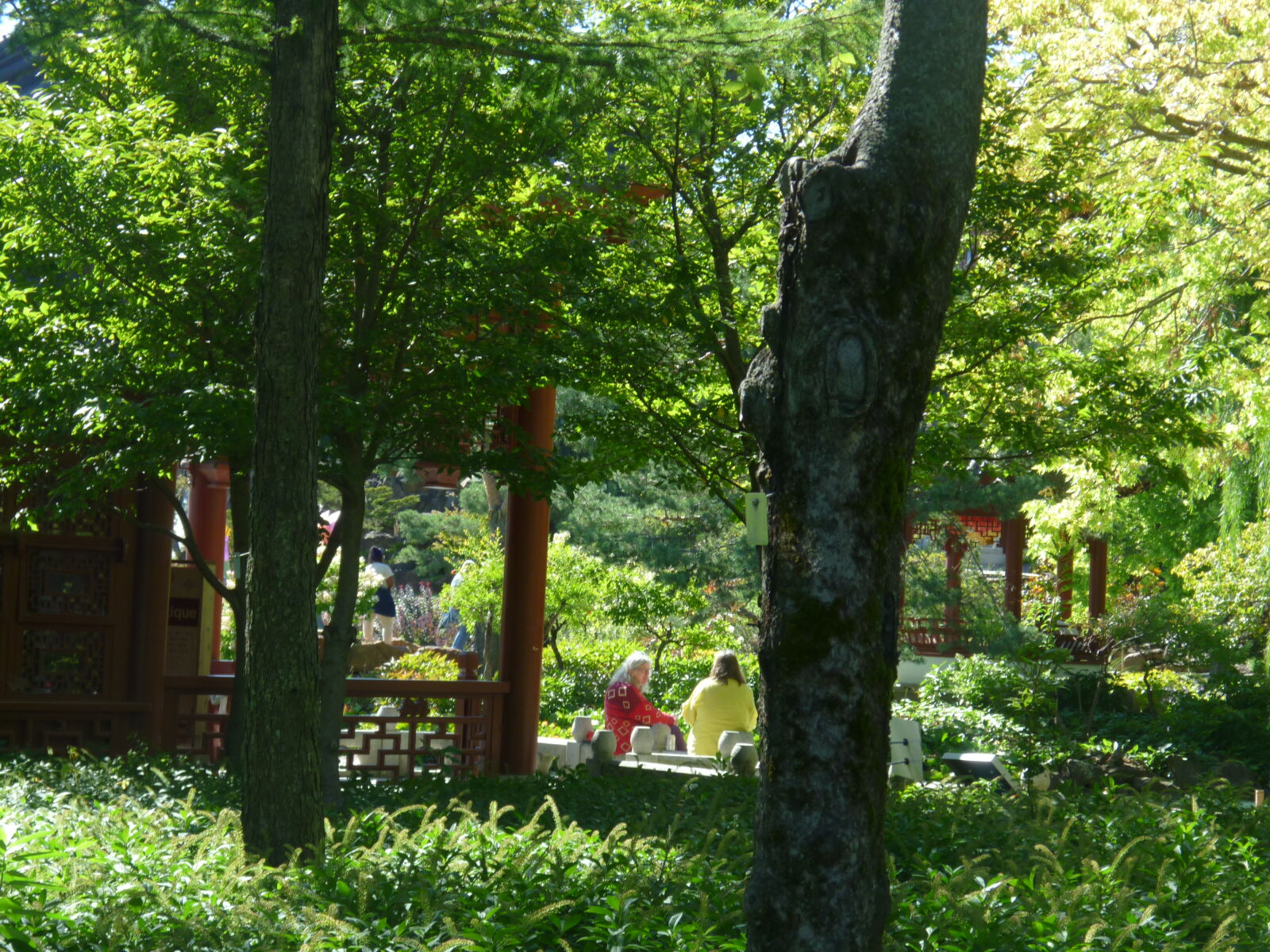 Panasonic DMC-ZR1 sample photo
