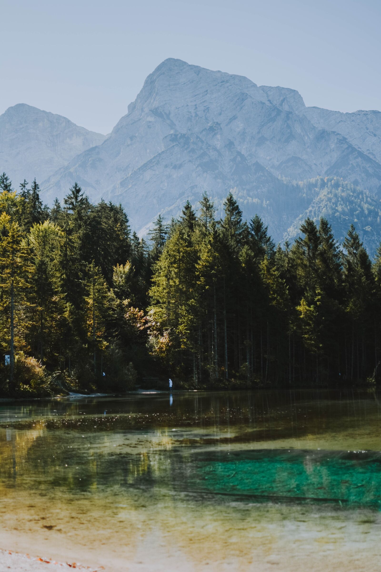 Nikon D5200 sample photo. Nature, landscape, forest photography