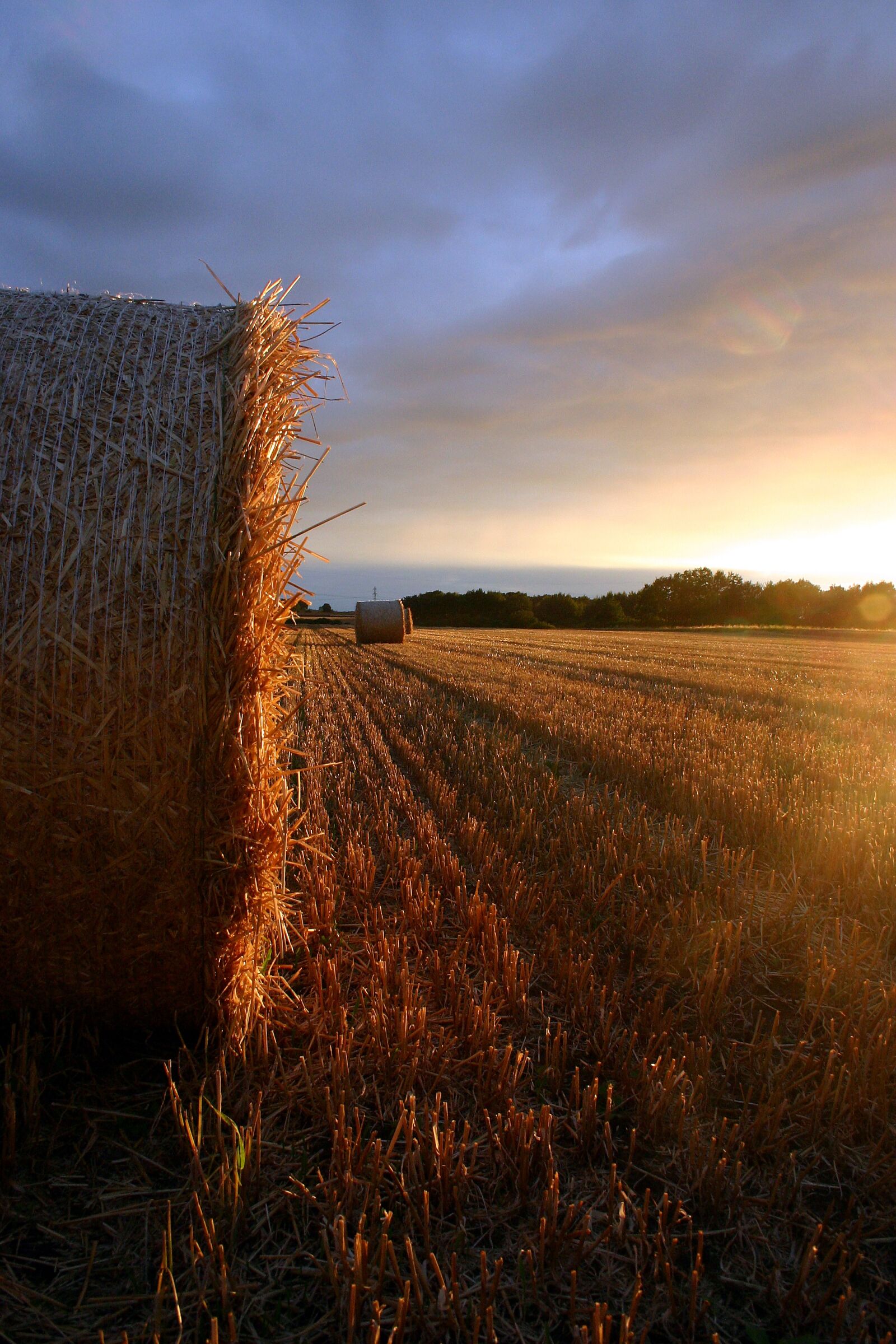 Canon EOS 300D (EOS Digital Rebel / EOS Kiss Digital) sample photo. Summer, straw, field photography