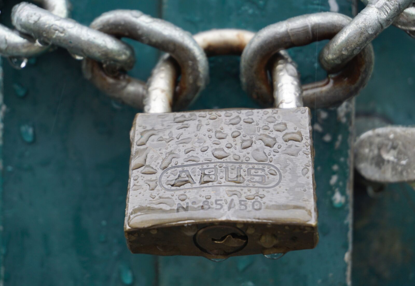 Sony a6000 sample photo. Castle, chain, rain photography