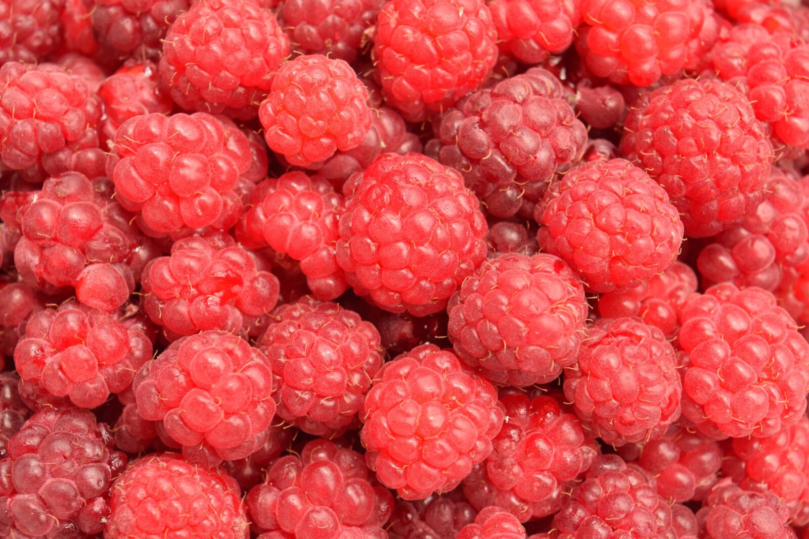 Nikon D3300 sample photo. Berry, red, raspberry, delicious photography