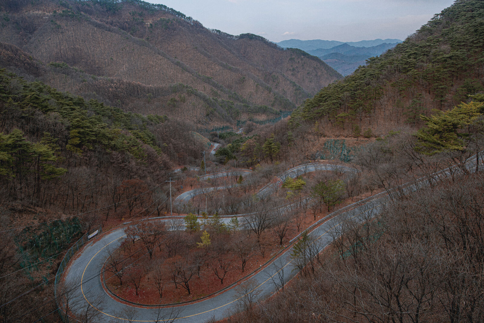 Nikon D810 sample photo