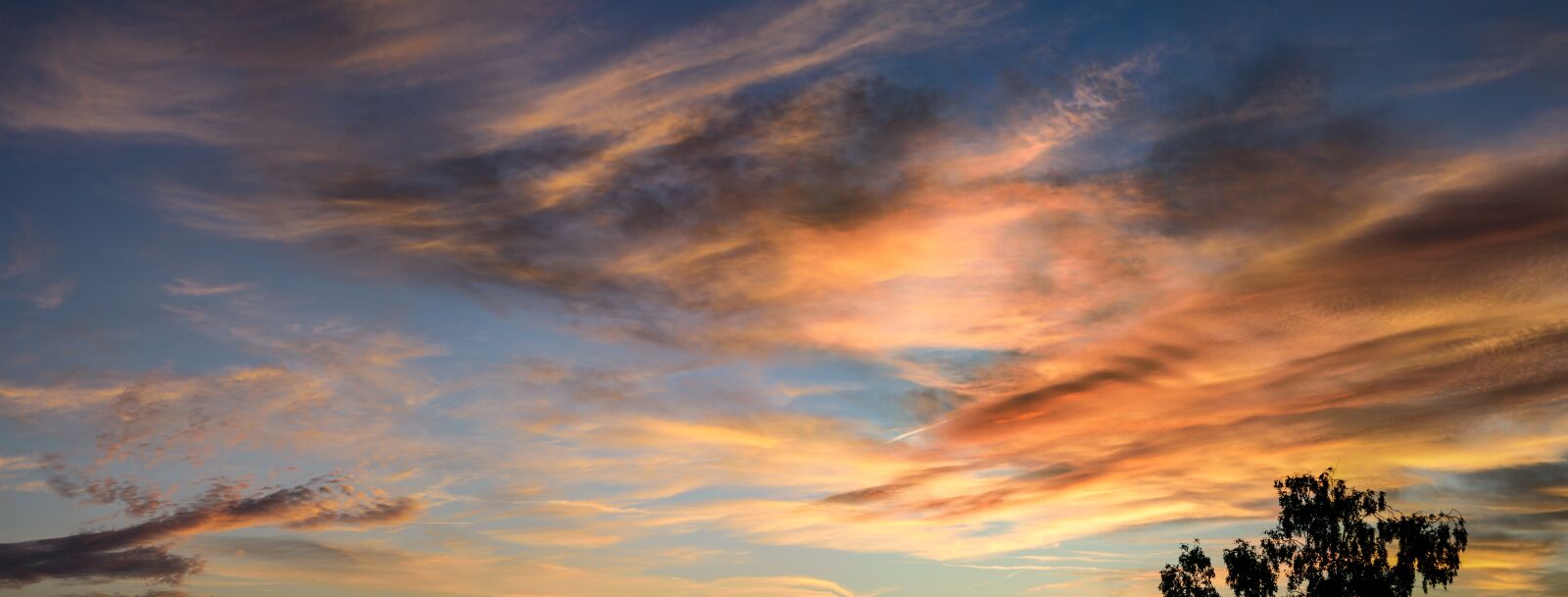 Panasonic Lumix DMC-GX8 sample photo. Sunrise, sky, panorama photography
