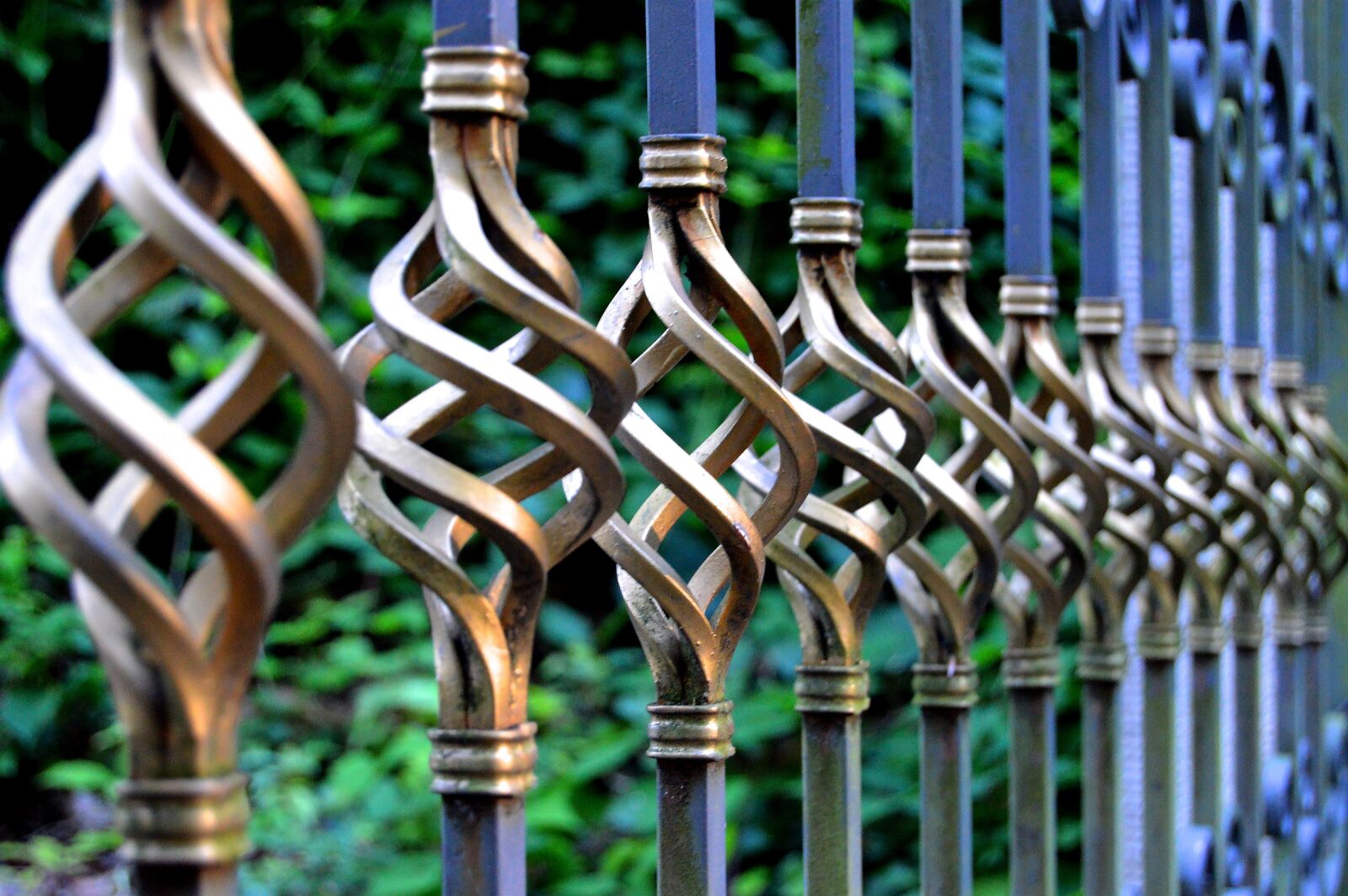 Nikon D3200 sample photo. Iron gate, wrought iron photography
