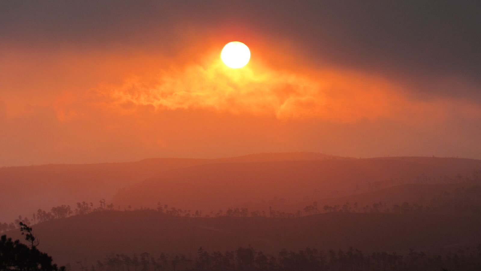 Canon PowerShot SX530 HS sample photo. Sun, sunrise, orange photography
