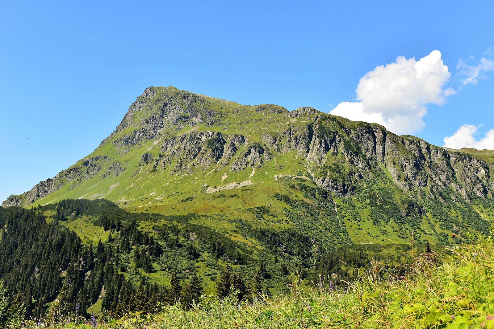 Nikon D610 sample photo. Mountains, almen, austria photography