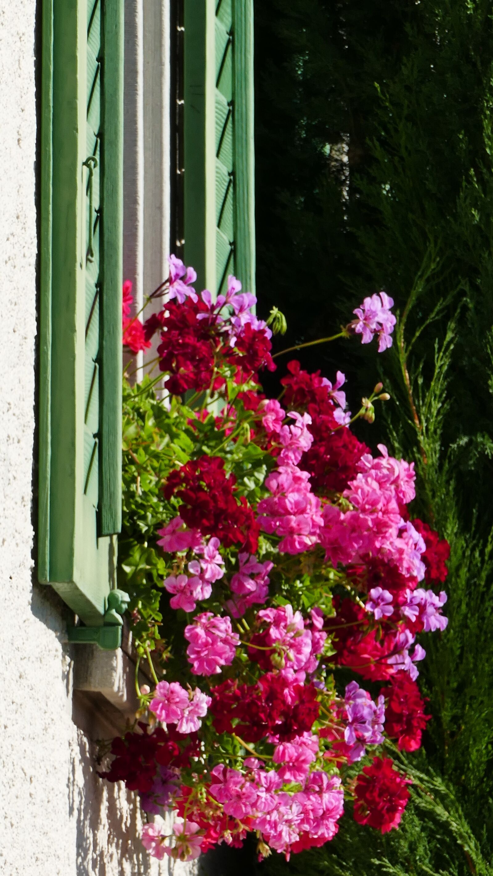 Panasonic Lumix DMC-FZ1000 sample photo. House, window, shutters photography