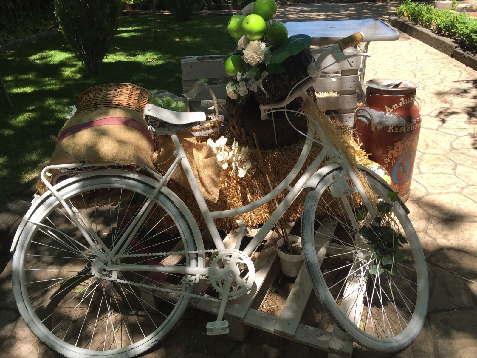 Apple iPhone 6 sample photo. Bicycle, sun, summer photography