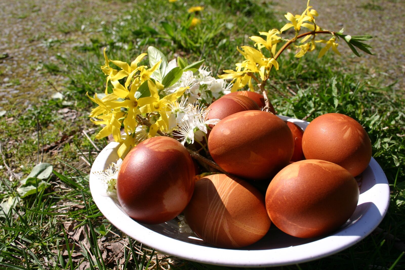 Canon EOS 300D (EOS Digital Rebel / EOS Kiss Digital) sample photo. Eggs, easter, spring photography