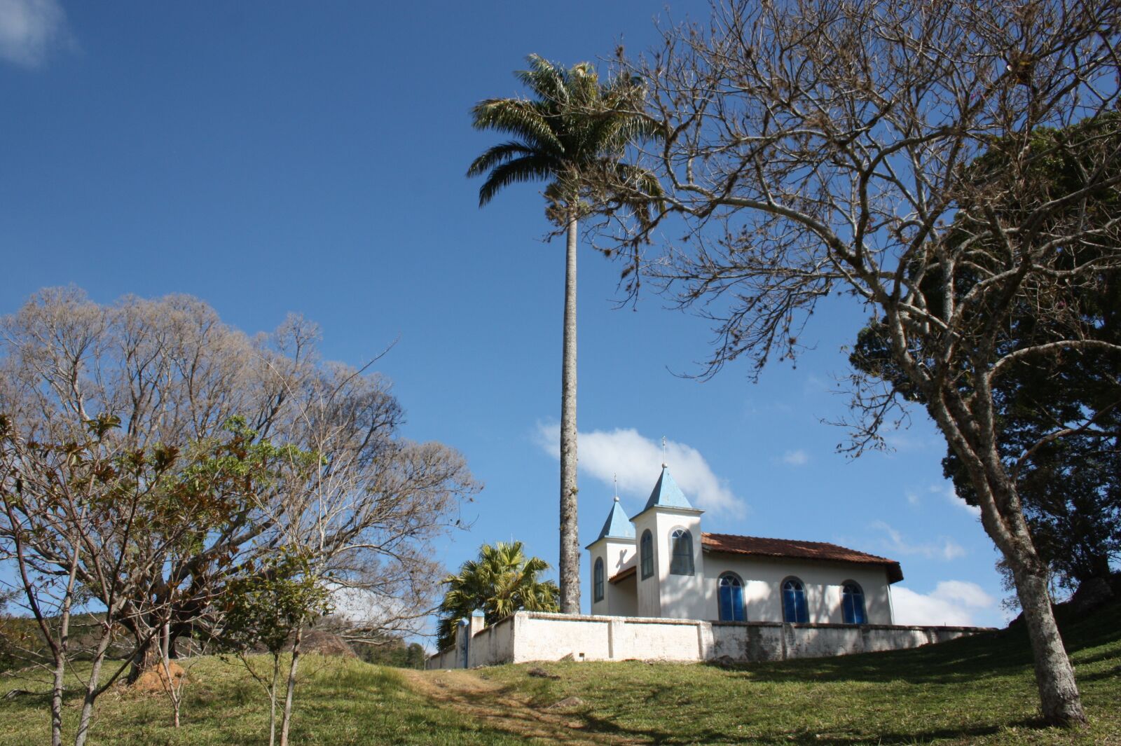 Canon EOS 450D (EOS Rebel XSi / EOS Kiss X2) sample photo. Church, palm trees, mato photography
