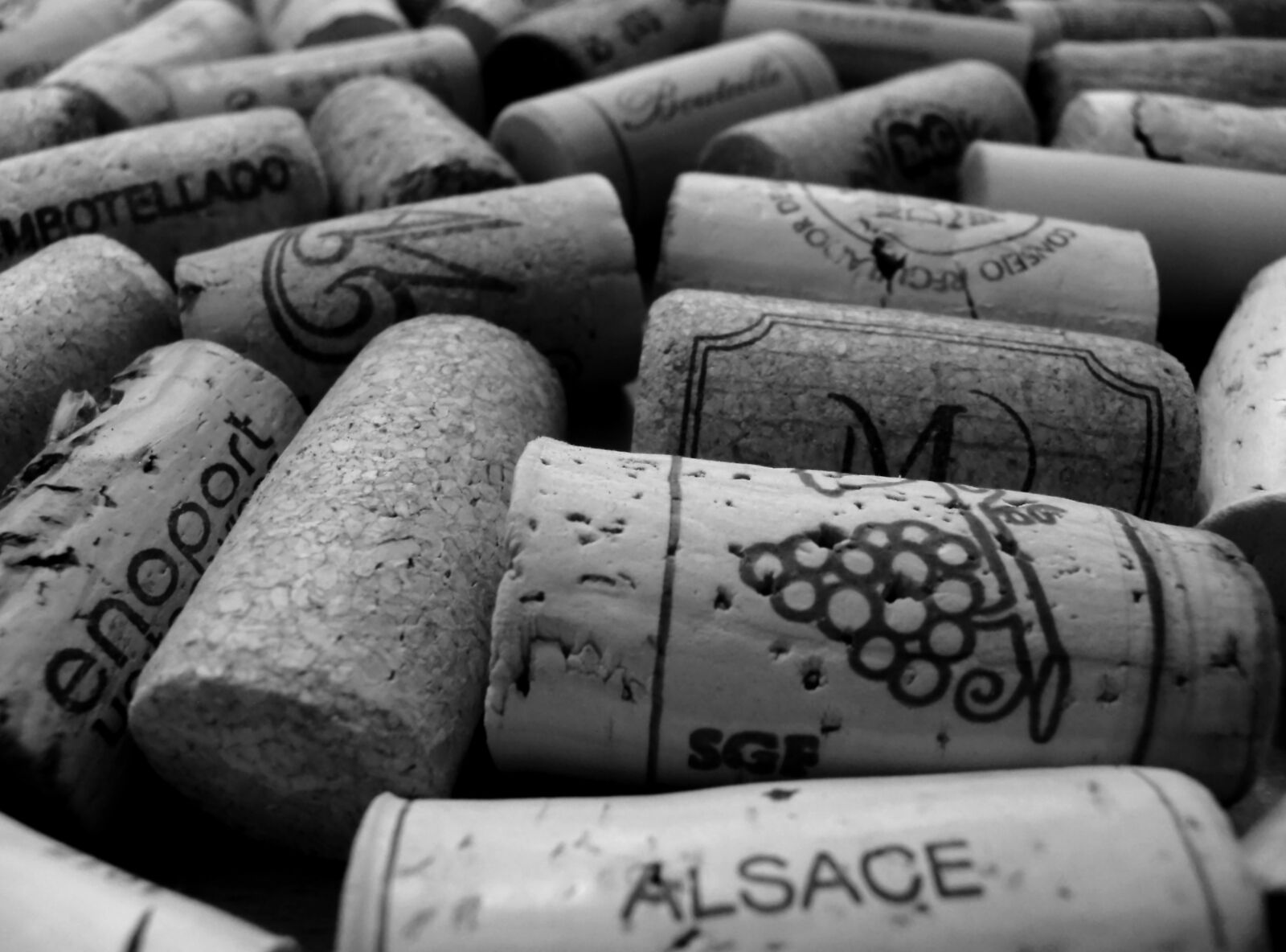 Nikon Coolpix P100 sample photo. Theme, chaos, wine photography