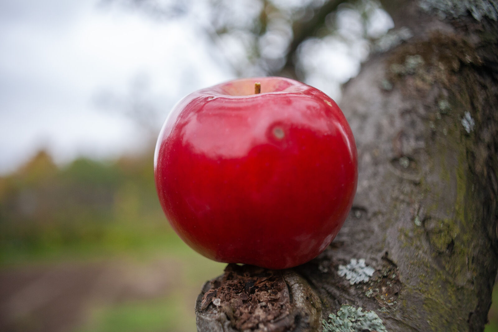 Canon EOS 5D sample photo