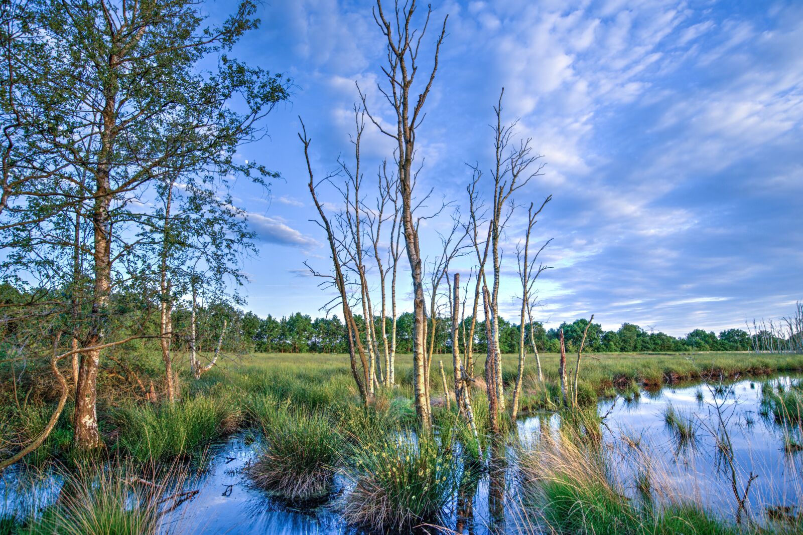 Nikon D610 sample photo. Sunset, colorful, reflection photography