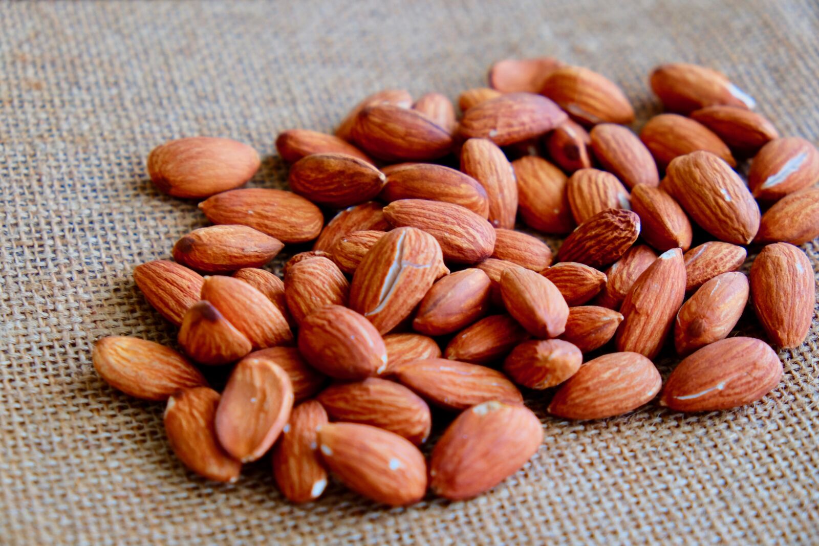Fujifilm X-T10 sample photo. Almond, brown, beans photography