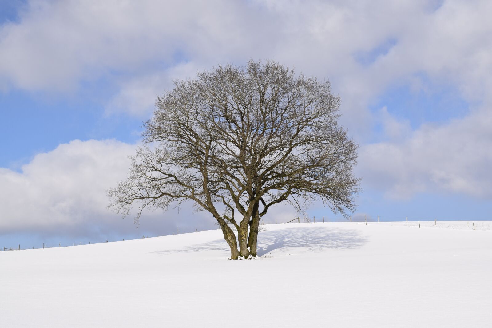 Nikon D3300 sample photo. Winter wonderland, eifel, snow photography