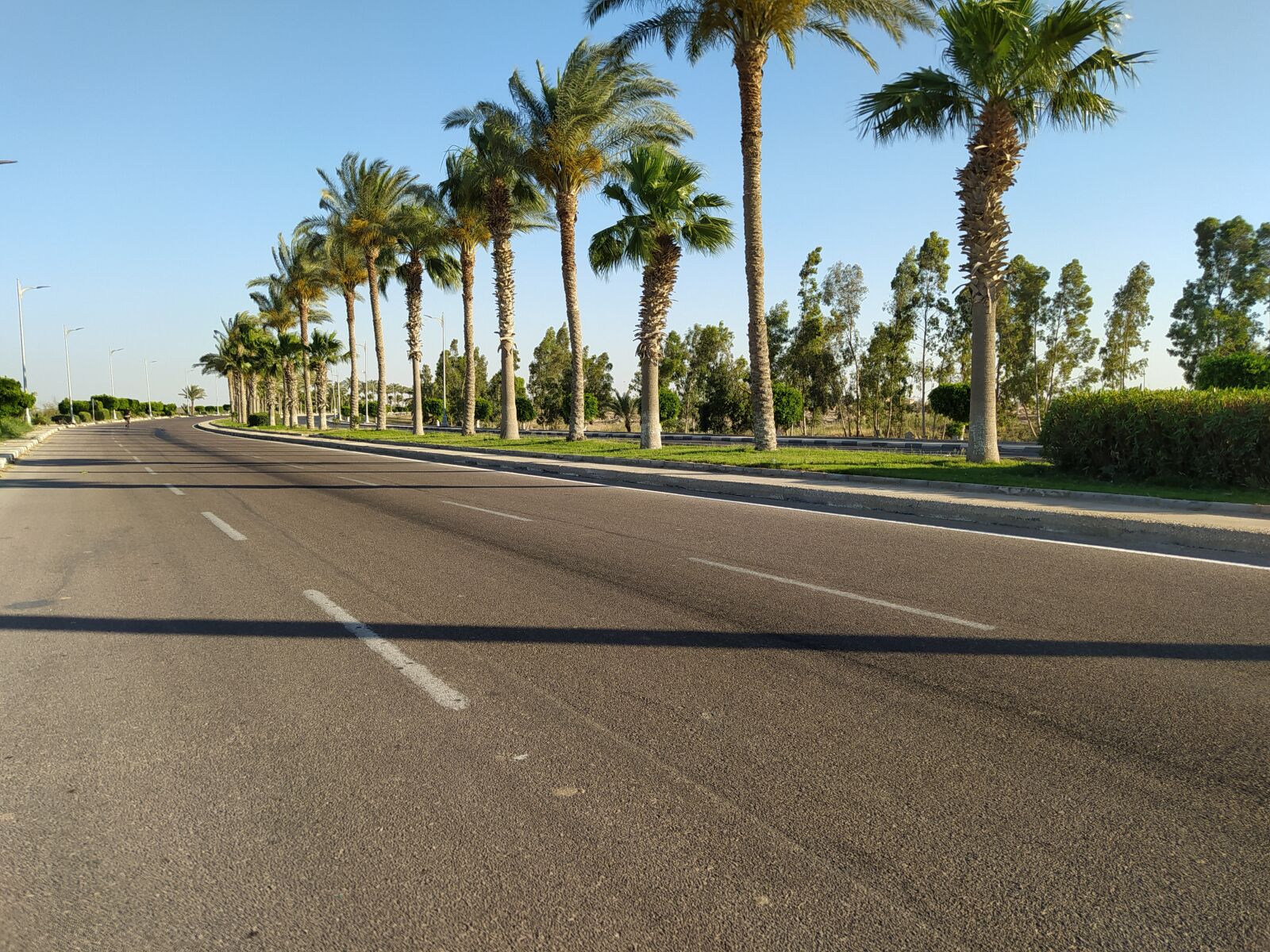 Xiaomi Redmi Note 8 sample photo. Road, egypt, palms photography
