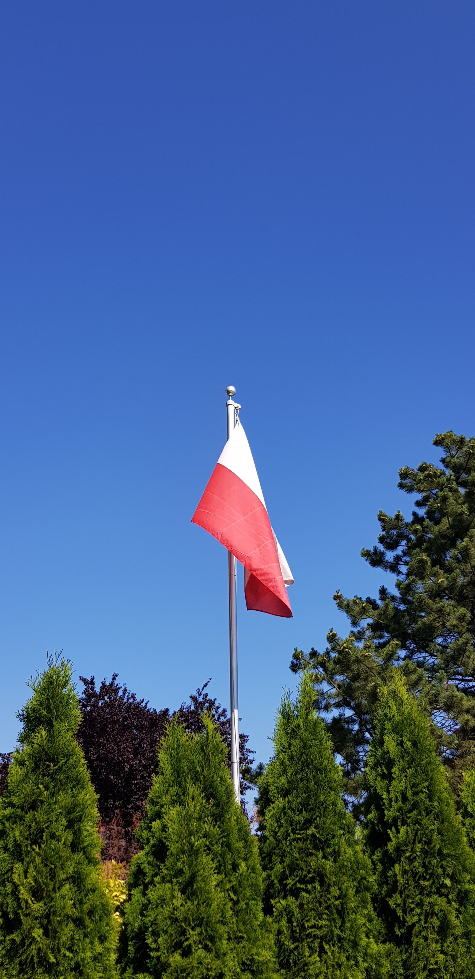 Samsung Galaxy S8 sample photo. Flag, poland, patriotism photography