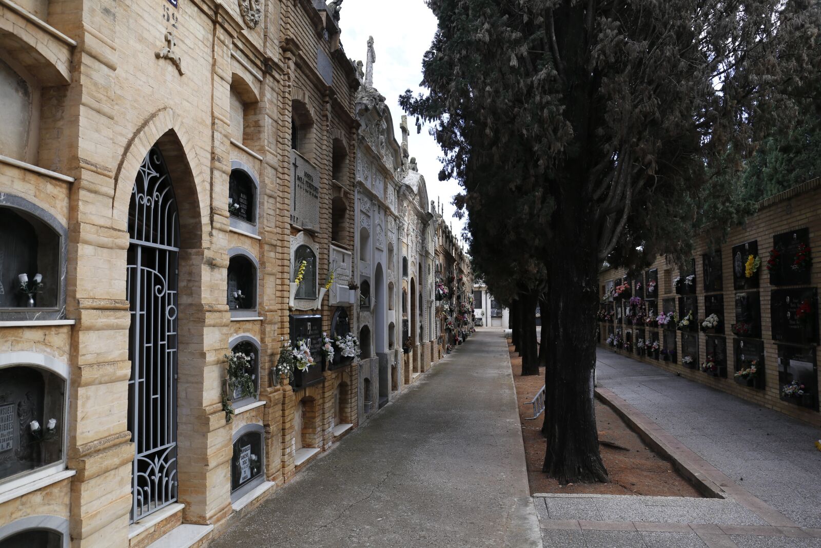 Canon EF 24-70mm F4L IS USM sample photo. Cemetery, backlight, spain photography