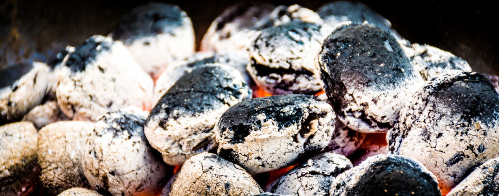 Nikon D5300 sample photo. Carbon, barbecue, embers photography