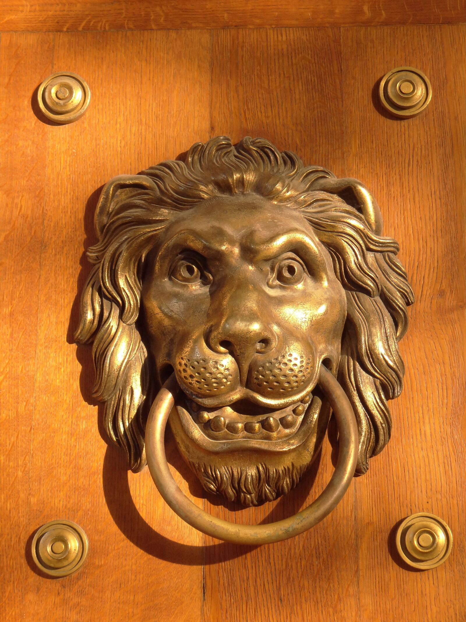 Sony DSC-HX200V sample photo. Door knocker, the head photography