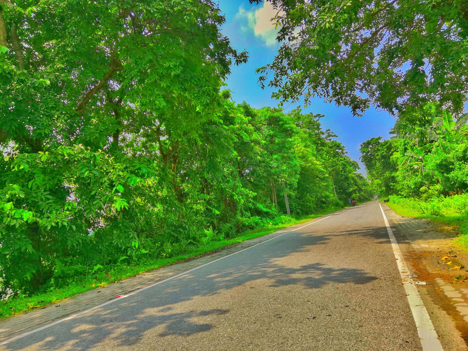 HUAWEI Honor Play sample photo. Road, assam road, nature photography