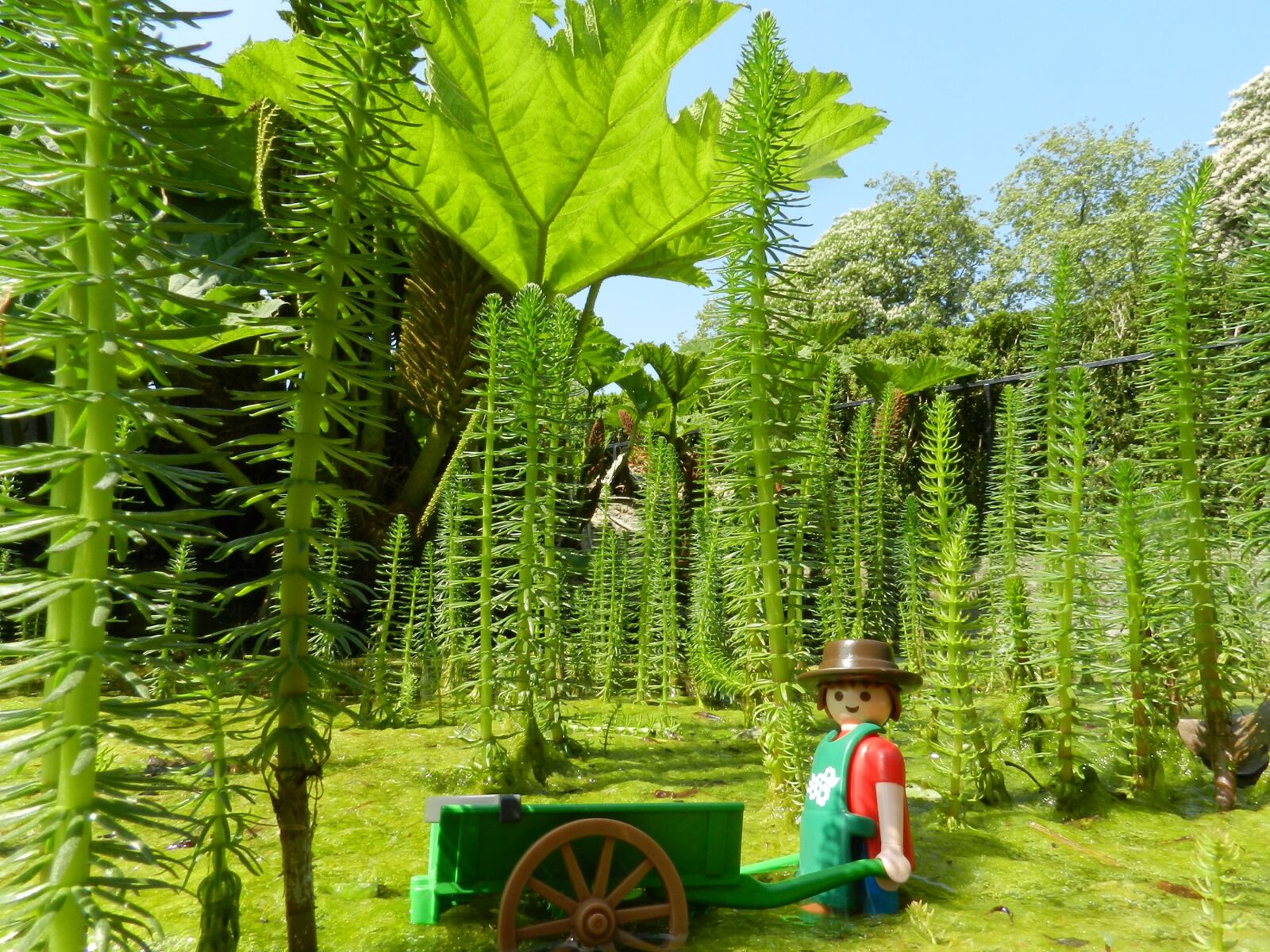 Nikon Coolpix P500 sample photo. Playmobil, gardener, garden photography