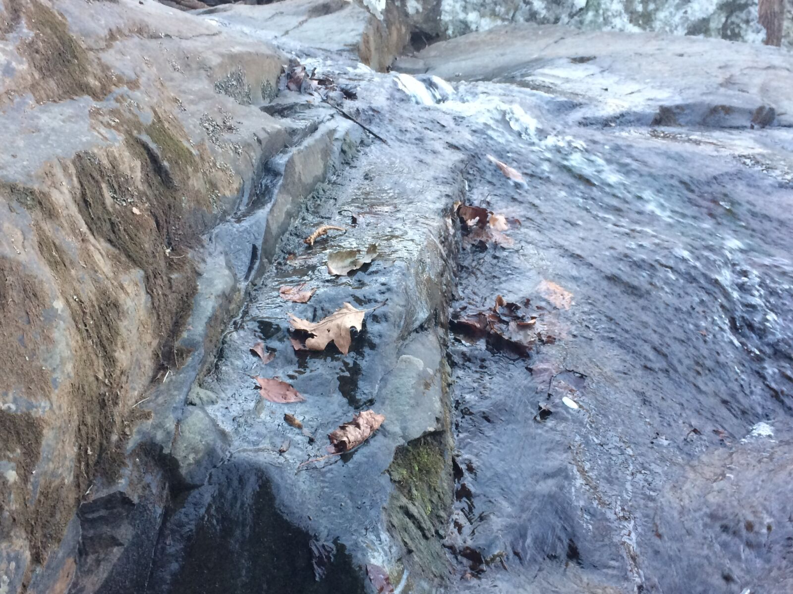 iPhone 5s back camera 4.15mm f/2.2 sample photo. Dried, leaves, leaves, rock photography