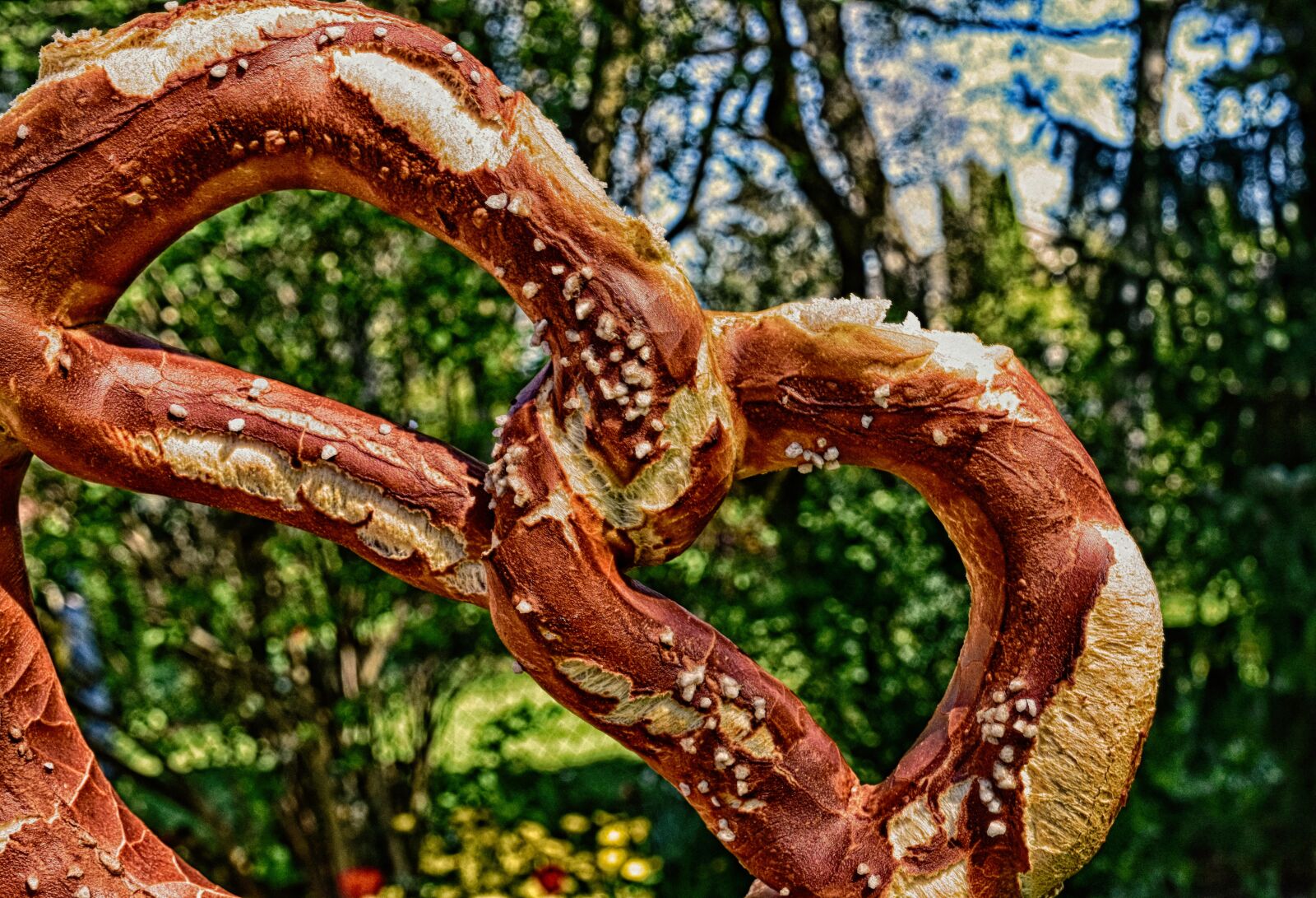 Nikon D7200 sample photo. Pretzel, salt, pretzels photography