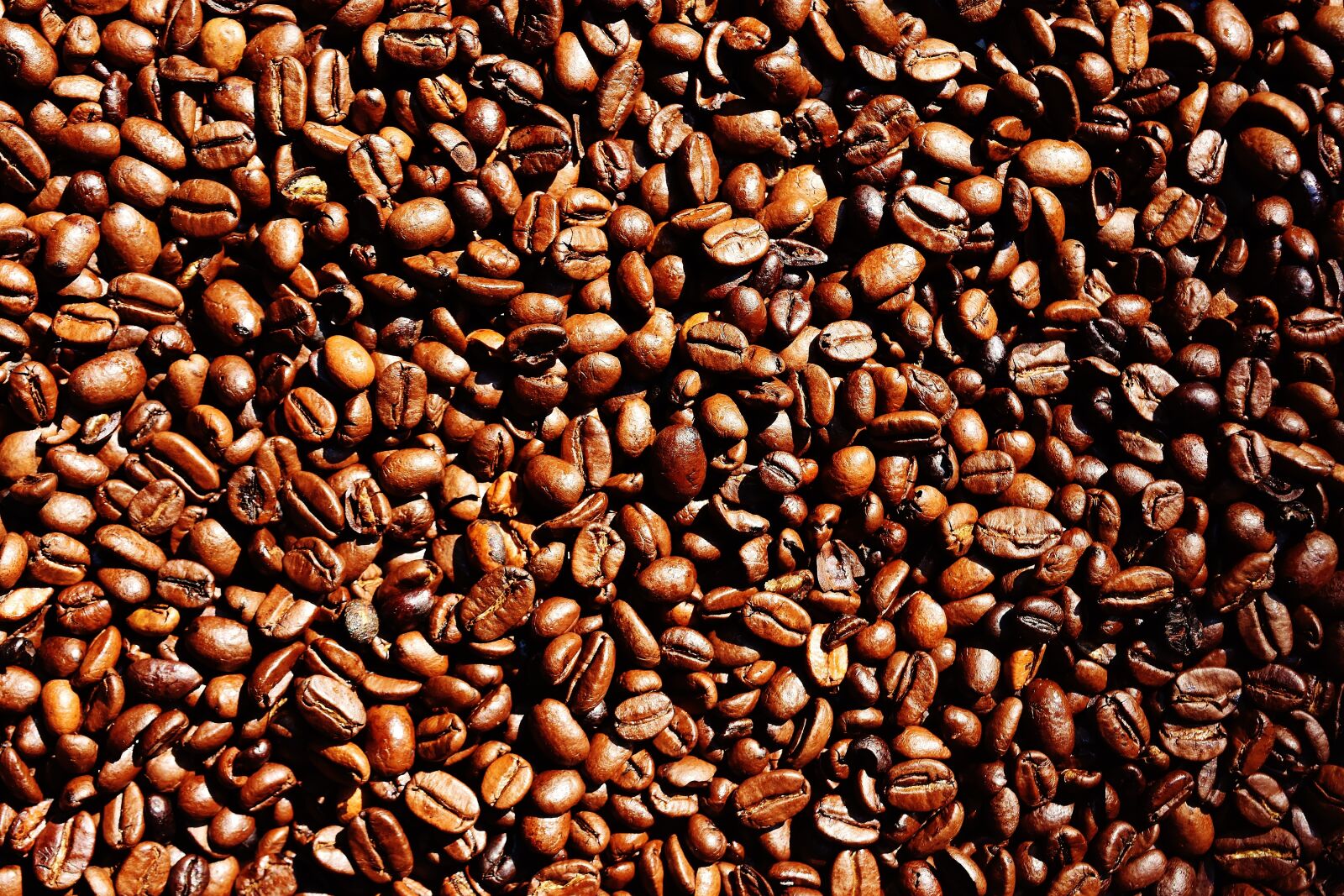 Nikon D7200 sample photo. Coffee, coffee beans, cafe photography