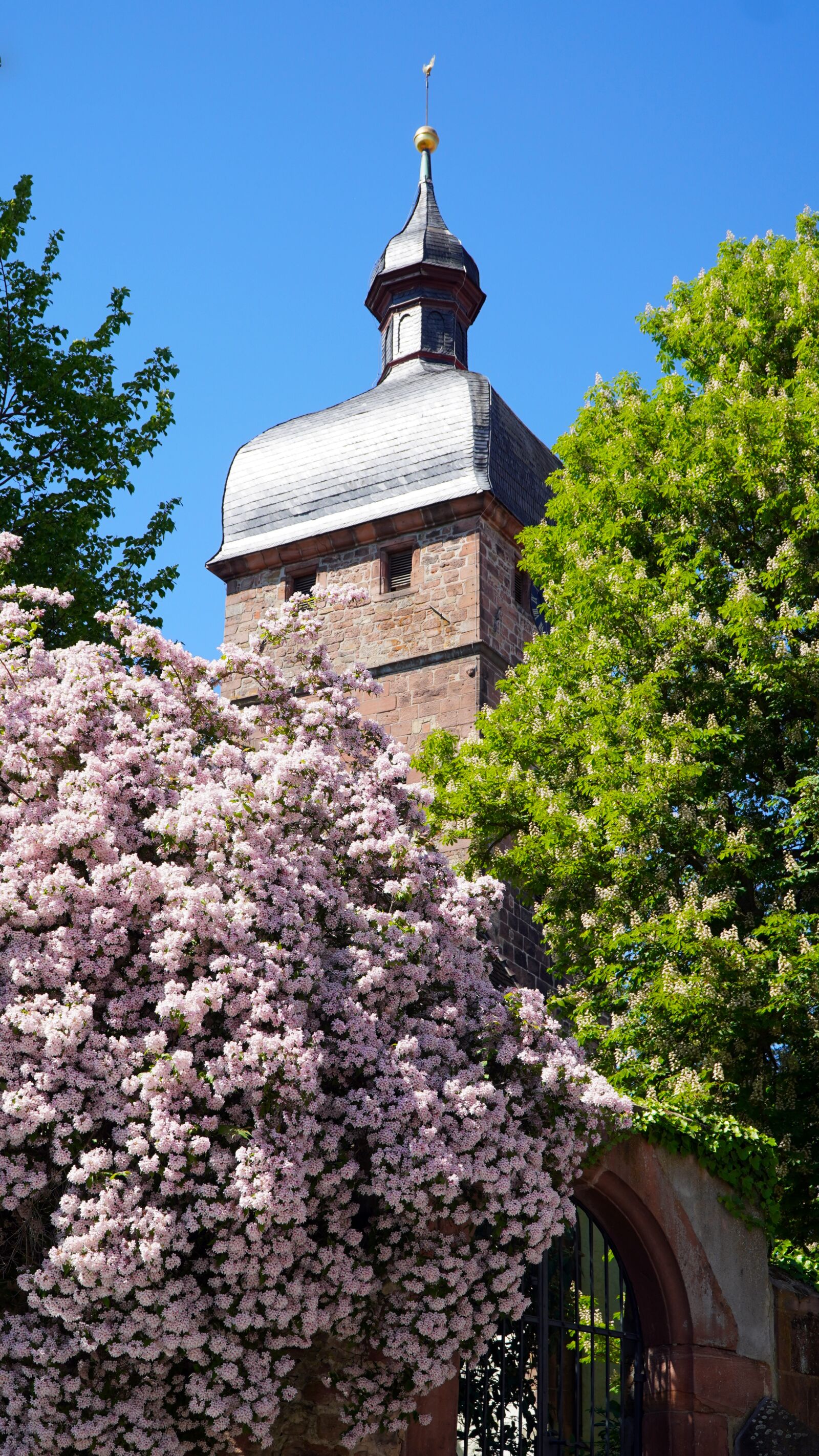 Sony a6400 sample photo. Church, tower, flowers photography