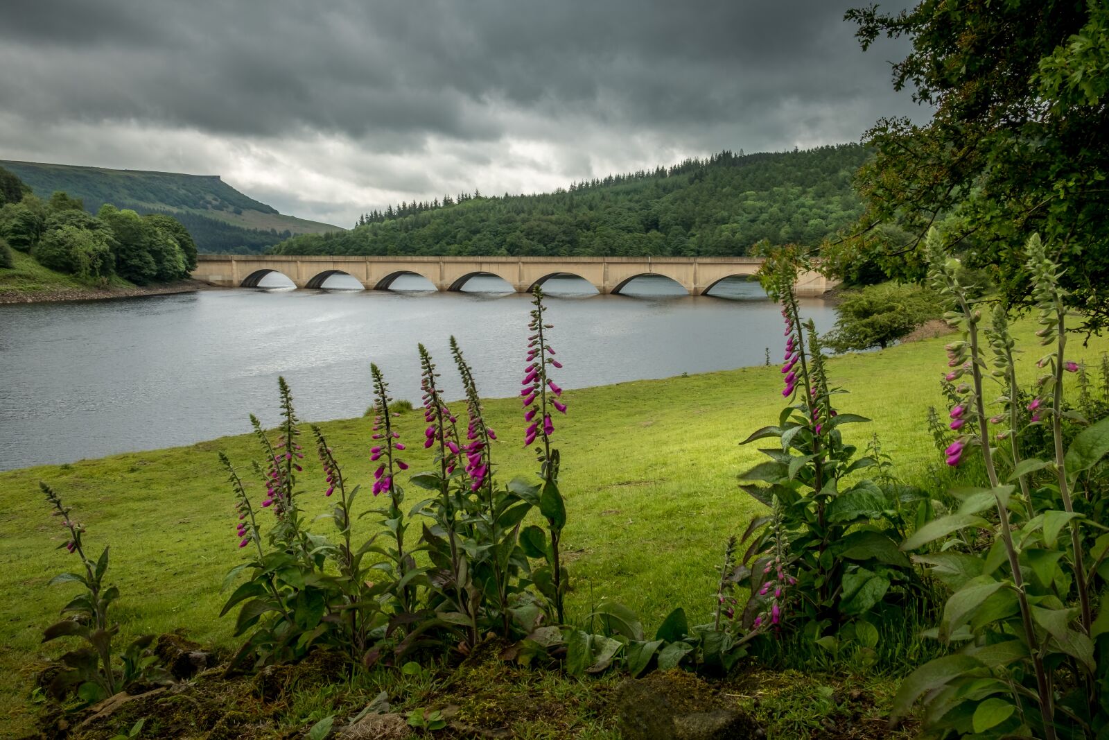 Fujifilm X-T2 sample photo. Ladybower reservoir, derbyshire, flowers photography