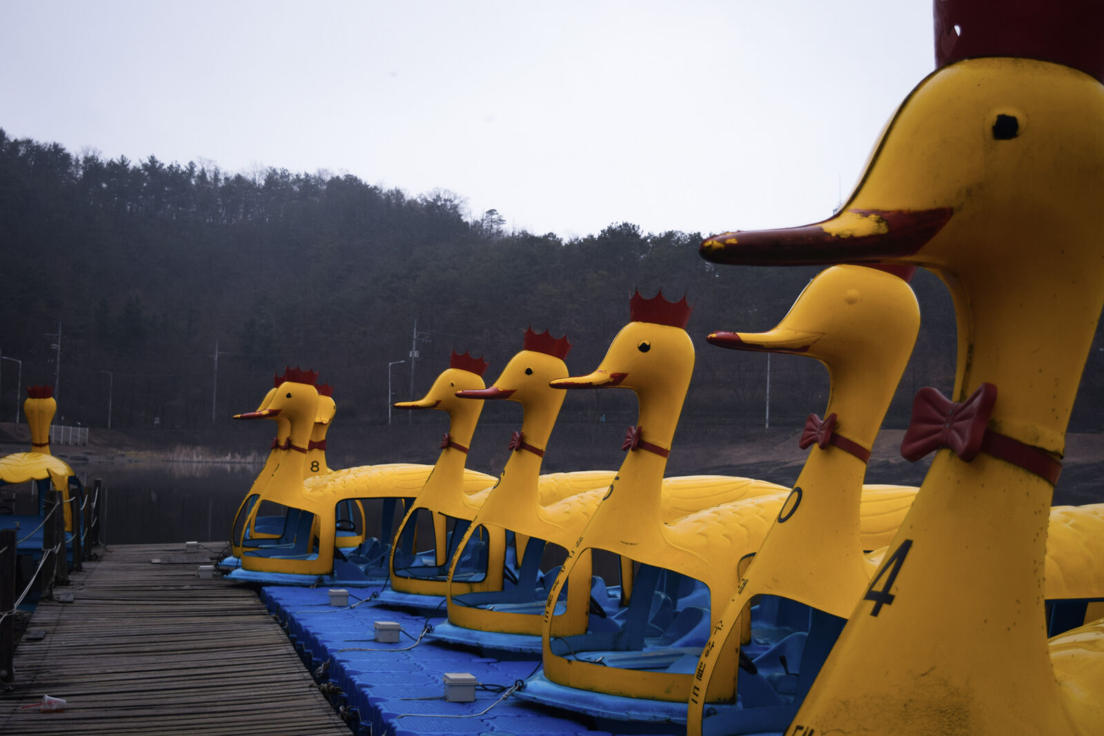 Nikon D3300 sample photo. Boat, boats, ducks, lake photography