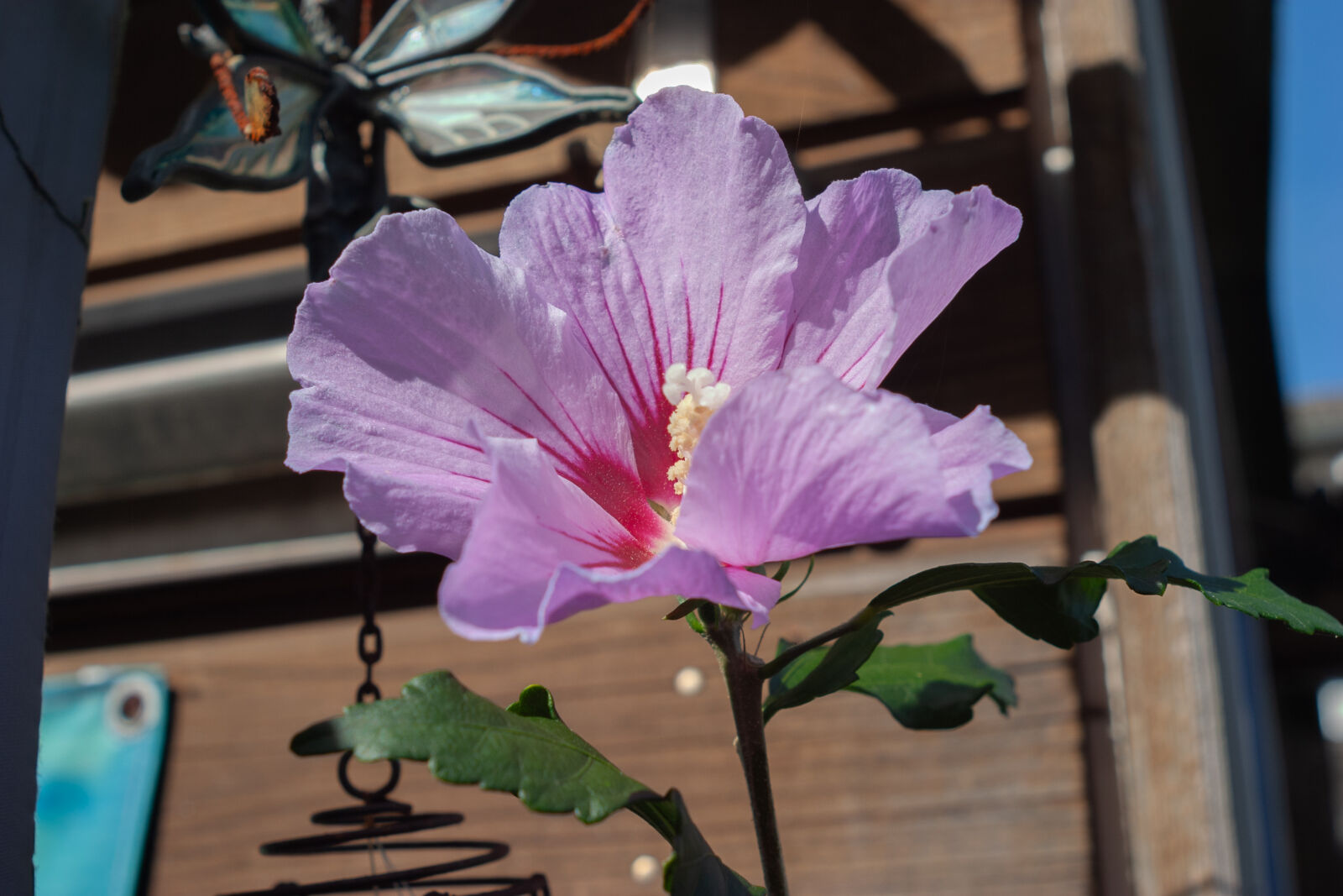 Canon EOS 10D sample photo. Vivitar 28mm f2.5 wide photography