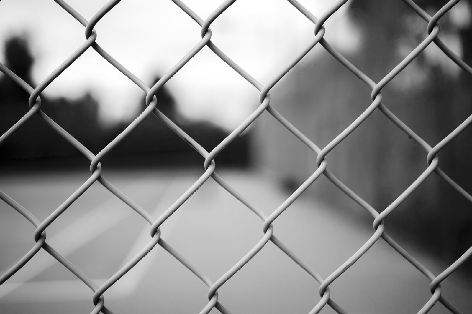 Canon EOS 750D (EOS Rebel T6i / EOS Kiss X8i) sample photo. Background, black white, blurred photography